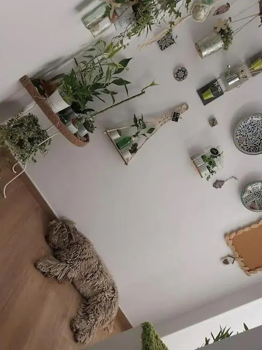 Apartamento Inocentes Seville